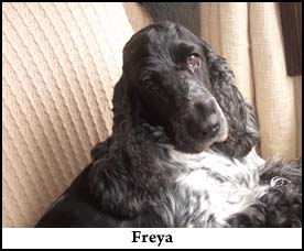 Freya
