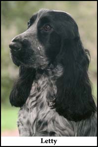Letty