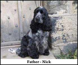 Nick (Father)