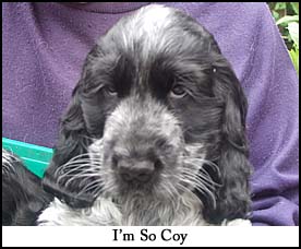 Litter 2012 Picture 2