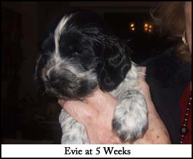 Litter 2015 Picture 8