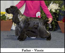 Father - Vinnie