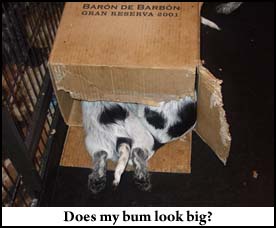 Pictures 3 - 2009 Picture 1