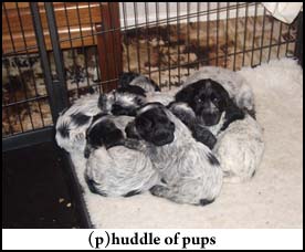 Pictures 3 - 2009 Picture 3