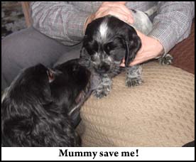 Pictures 3 - 2009 Picture 5