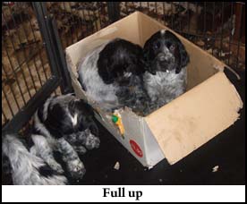 Pictures 3 - 2009 Picture 6