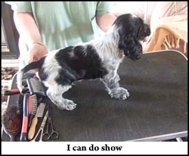 Litter 2011 Picture 1