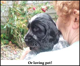 Litter 2011 Picture 2